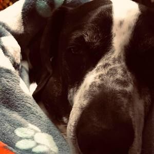 Meet your Posher, Mandy